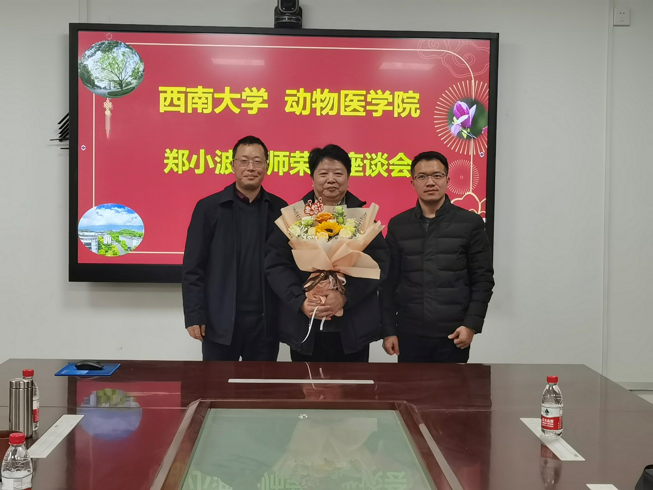 HO5HO
为郑小波老师举行退休座谈会